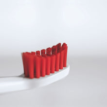 Load image into Gallery viewer, SWISSDENT Colours Toothbrush Soft-Medium